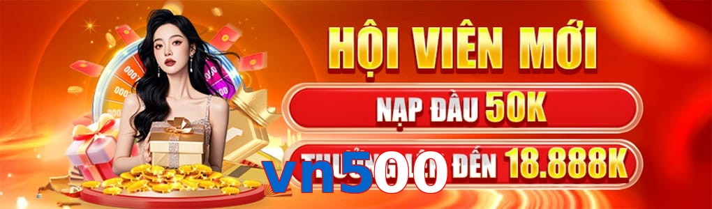 vn500